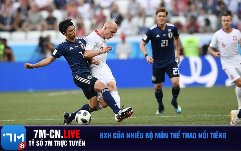 BXH cua nhieu bo mon the thao noi tieng BXH của nhiều bộ môn thể thao nổi tiếng