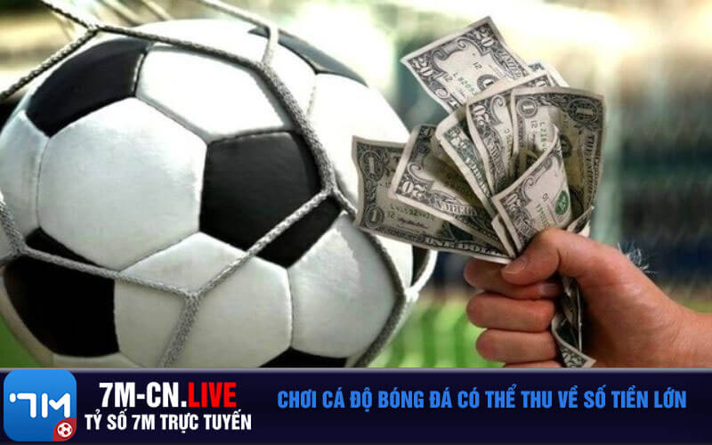 Choi ca do bong da co the thu ve so tien lon Chơi cá độ bóng đá có thể thu về số tiền lớn