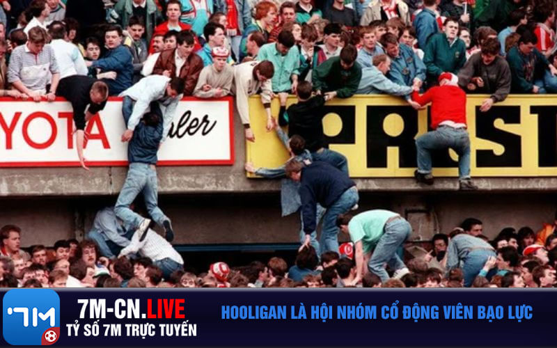 Hooligan la hoi nhom co dong vien bao luc Hooligan là hội nhóm cổ động viên bạo lực