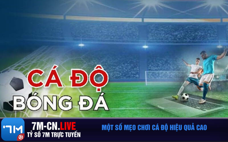 Mot so meo choi ca do hieu qua cao Một số mẹo chơi cá độ hiệu quả cao