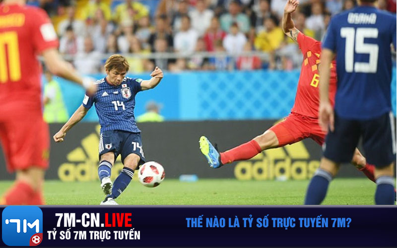 The nao la ty so truc tuyen 7M Thế nào là tỷ số trực tuyến 7M?