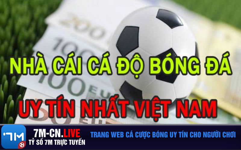 Trang web ca cuoc bong uy tin cho nguoi choi Trang web cá cược bóng uy tín cho người chơi