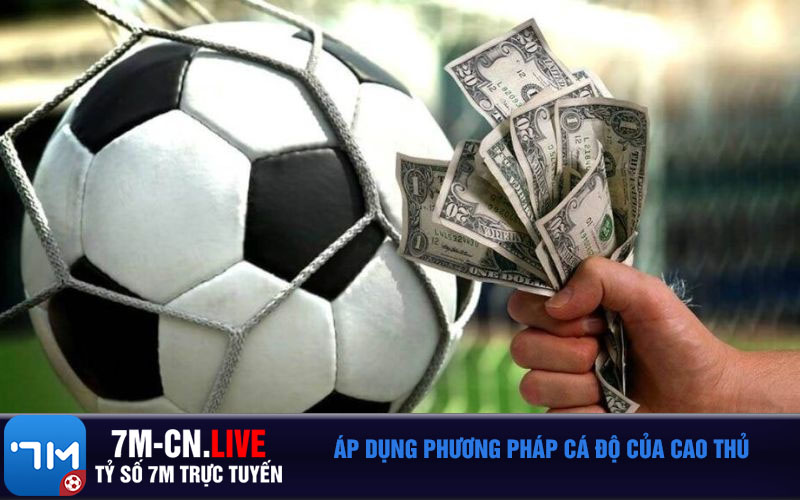 Ap dung phuong phap ca do cua cao thu Áp dụng phương pháp cá độ của cao thủ