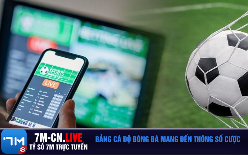 Bang ca do bong da mang den thong so cuoc Bảng cá độ bóng đá mang đến thông số cược