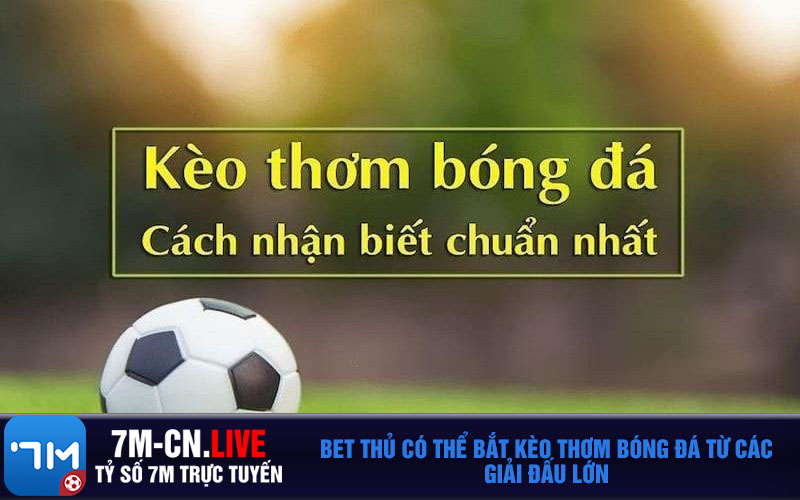 Bet thu co the bat keo thom bong da tu cac giai dau lon Bet thủ có thể bắt kèo thơm bóng đá từ các giải đấu lớn