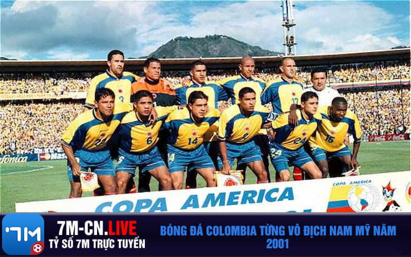 Bong da Colombia tung vo dich Nam My nam 2001 Bóng đá Colombia từng vô địch Nam Mỹ năm 2001
