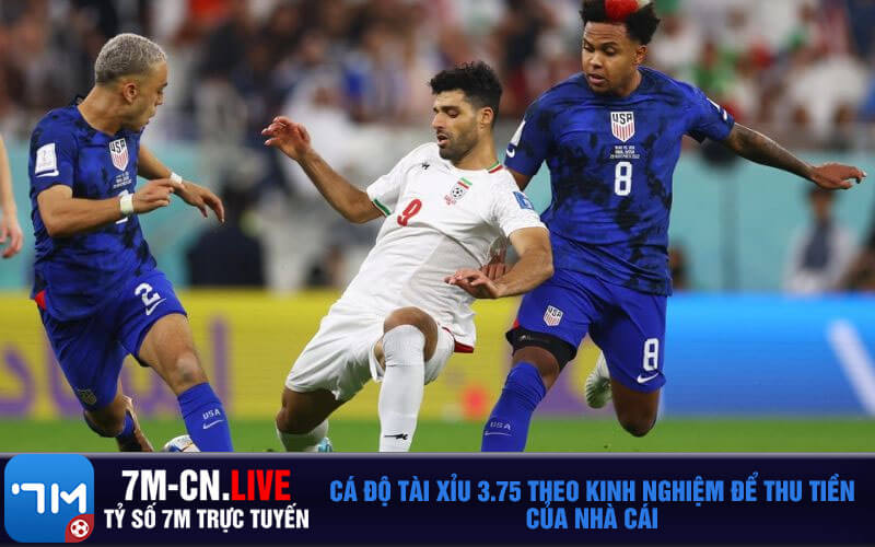 Ca do tai xiu 3.75 theo kinh nghiem de thu tien cua nha cai Cá độ tài xỉu 3.75 theo kinh nghiệm để thu tiền của nhà cái