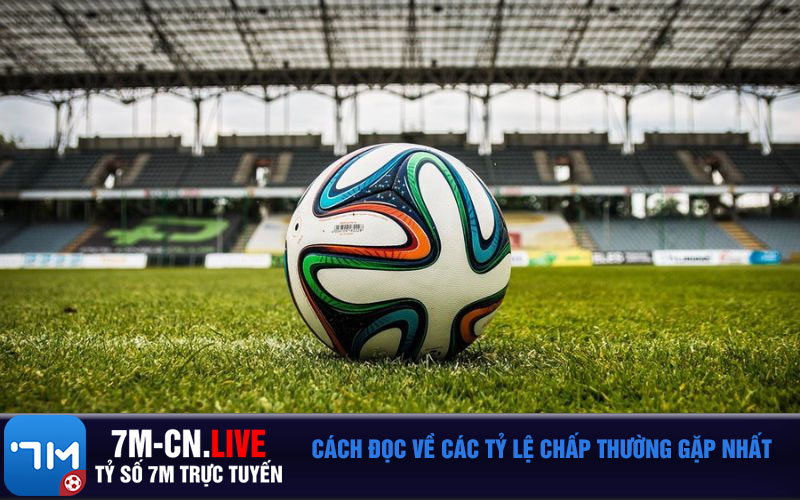Cach doc ve cac ty le chap thuong gap nhat Cách đọc về các tỷ lệ chấp thường gặp nhất