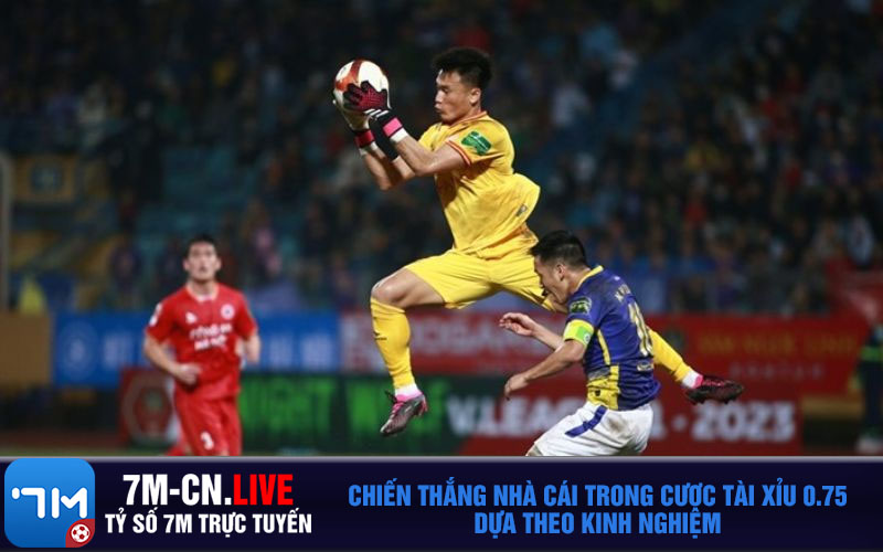 Chien thang nha cai trong cuoc tai xiu 0.75 dua theo kinh nghiem Chiến thắng nhà cái trong cược tài xỉu 0.75 dựa theo kinh nghiệm
