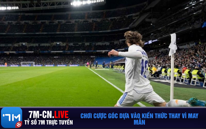 Choi cuoc goc dua vao kien thuc thay vi may man Chơi cược góc dựa vào kiến thức thay vì may mắn