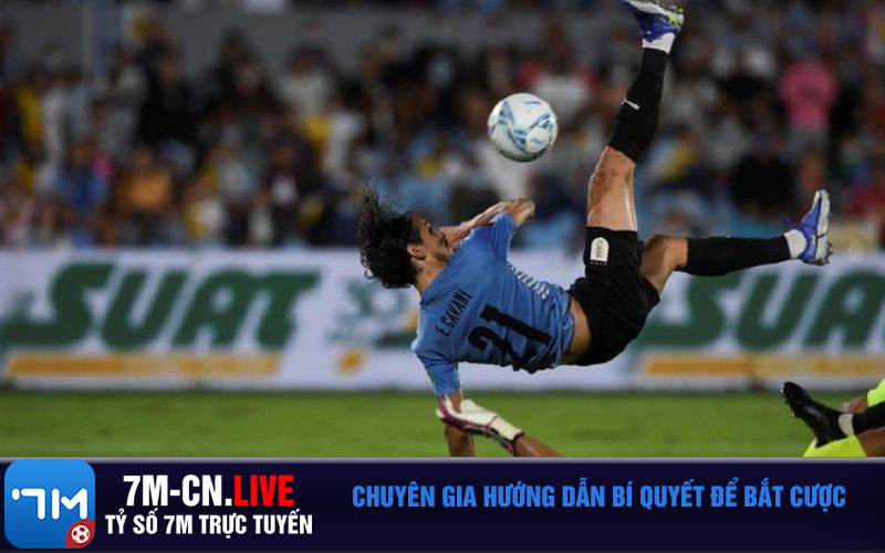 Chuyen gia huong dan bi quyet de bat cuoc Chuyên gia hướng dẫn bí quyết để bắt cược