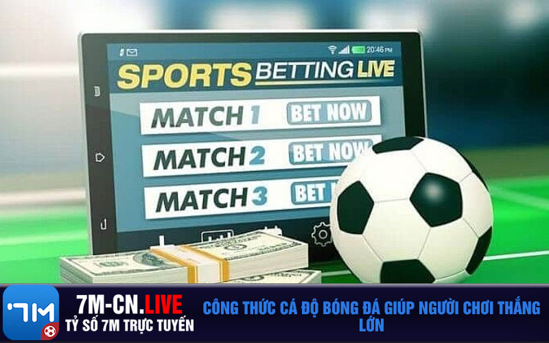 Cong thuc ca do bong da giup nguoi choi thang lon Công thức cá độ bóng đá giúp người chơi thắng lớn