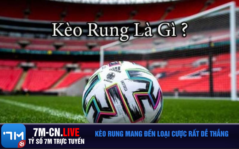 Keo rung mang den loai cuoc rat de thang Kèo rung mang đến loại cược rất dễ thắng