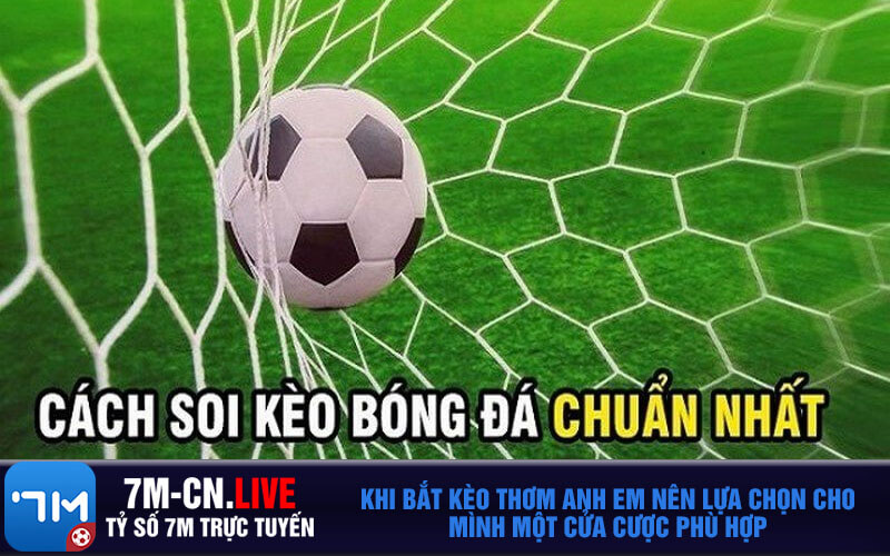 Khi bat keo thom anh em nen lua chon cho minh mot cua cuoc phu hop Khi bắt kèo thơm anh em nên lựa chọn cho mình một cửa cược phù hợp