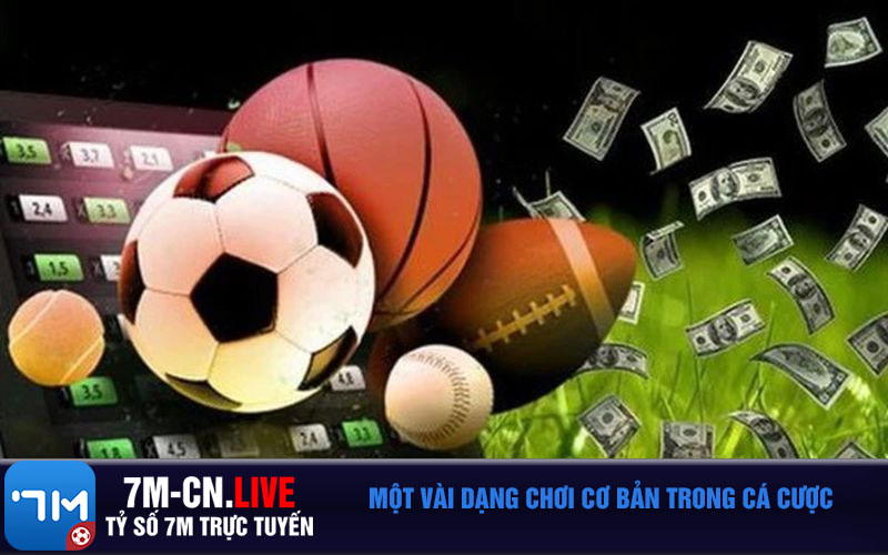 Mot vai dang choi co ban trong ca cuoc Một vài dạng chơi cơ bản trong cá cược