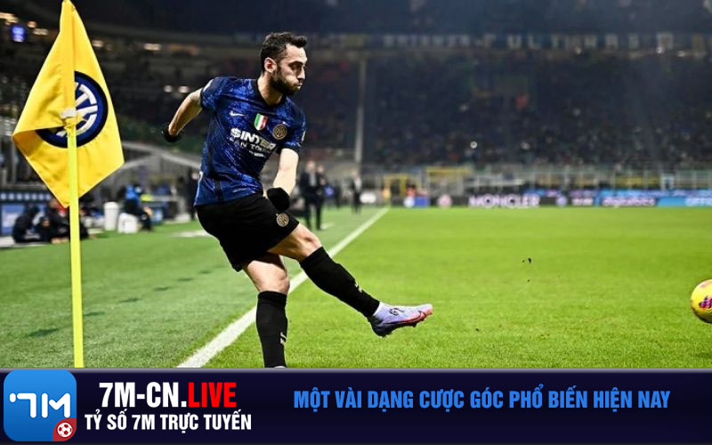 Mot vai dang cuoc goc pho bien hien nay Một vài dạng cược góc phổ biến hiện nay