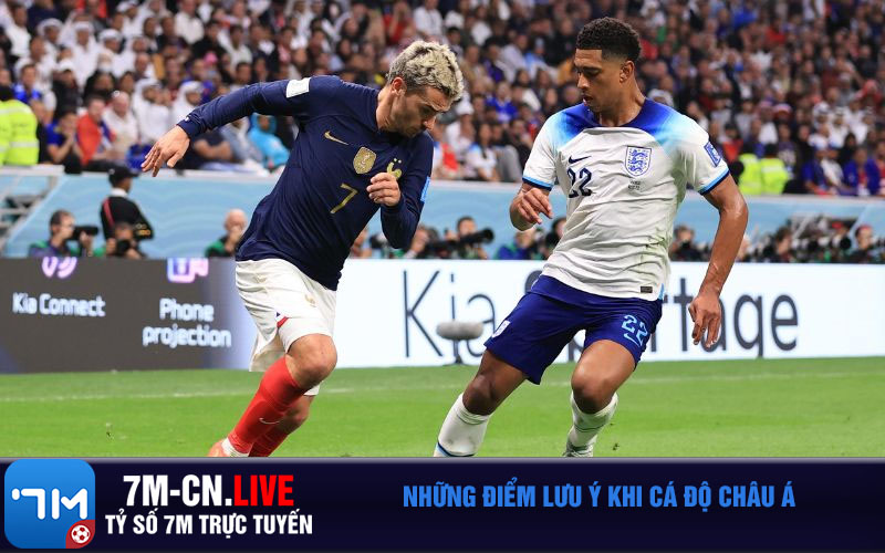 Nhung diem luu y khi ca do chau A Những điểm lưu ý khi cá độ châu Á