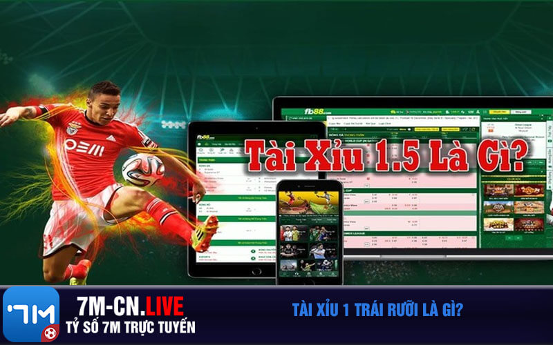 Tai xiu 1 trai ruoi la gi Tài xỉu 1 trái rưỡi là gì?