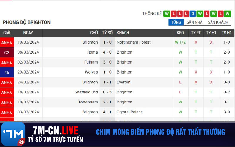 Chim Mong Bien phong do rat that thuong Chim Mòng Biển phong độ rất thất thường