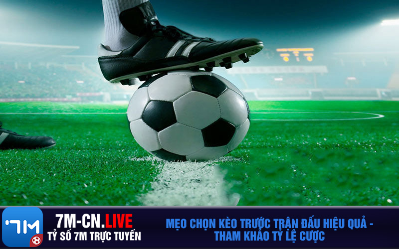 7m2 Mẹo Chọn Kèo Trước Trận Đấu Hiệu Quả - Tham Khảo Tỷ Lệ Cược