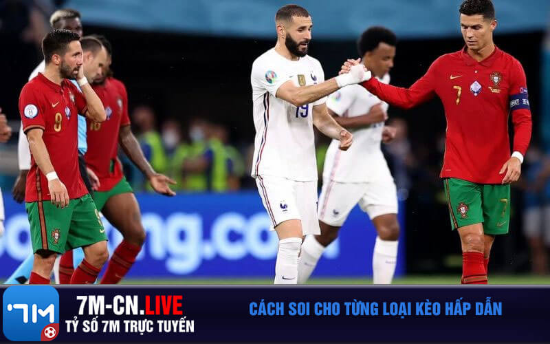 Cach soi cho tung loai keo hap dan Cách soi cho từng loại kèo hấp dẫn