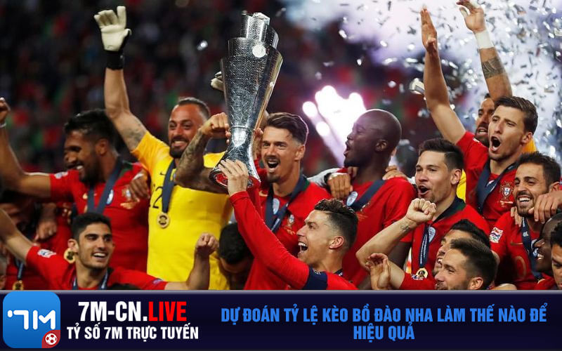 Du doan ty le keo Bo Dao Nha lam the nao de hieu qua Dự đoán tỷ lệ kèo Bồ Đào Nha làm thế nào để hiệu quả