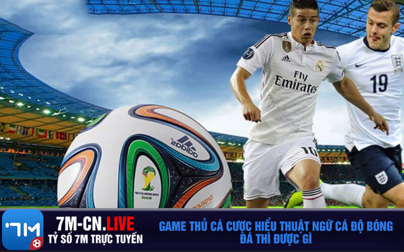 Game thu ca cuoc hieu thuat ngu ca do bong da thi duoc gi Game thủ cá cược hiểu thuật ngữ cá độ bóng đá thì được gì