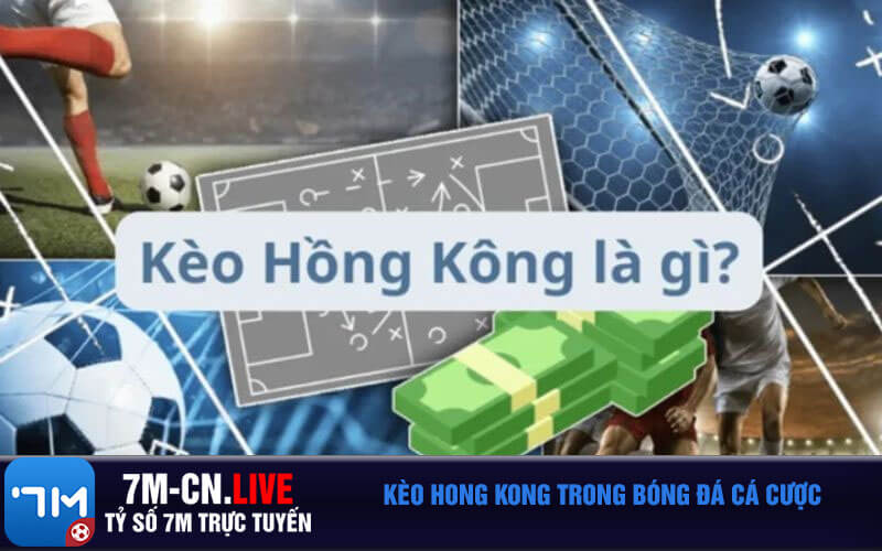 Keo Hong Kong trong bong da ca cuoc Kèo Hong Kong trong bóng đá cá cược