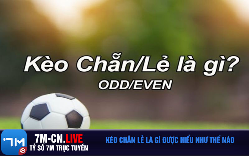 Keo chan le la gi duoc hieu nhu the nao Kèo chẵn lẻ là gì được hiểu như thế nào