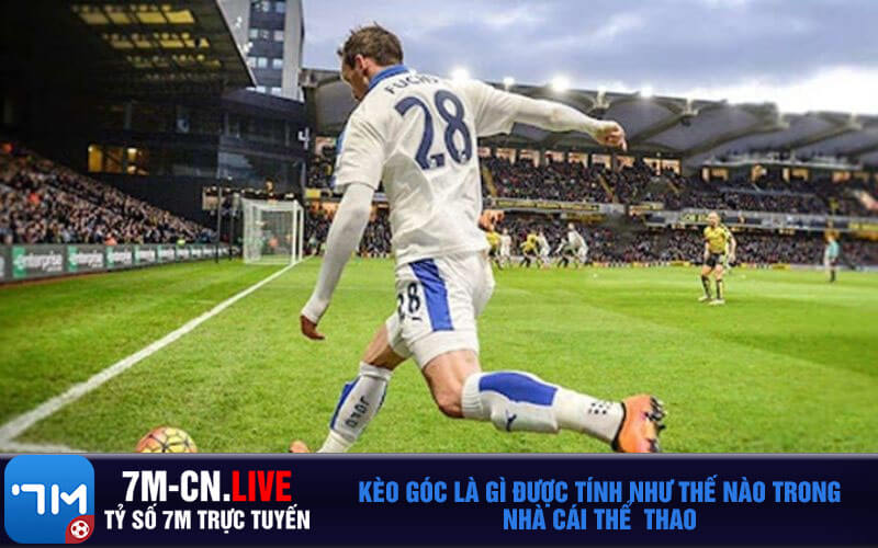 Keo goc la gi duoc tinh nhu the nao trong nha cai the thao Kèo góc là gì được tính như thế nào trong nhà cái thể thao