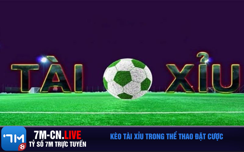 Keo tai xiu trong the thao dat cuoc Kèo tài xỉu trong thể thao đặt cược