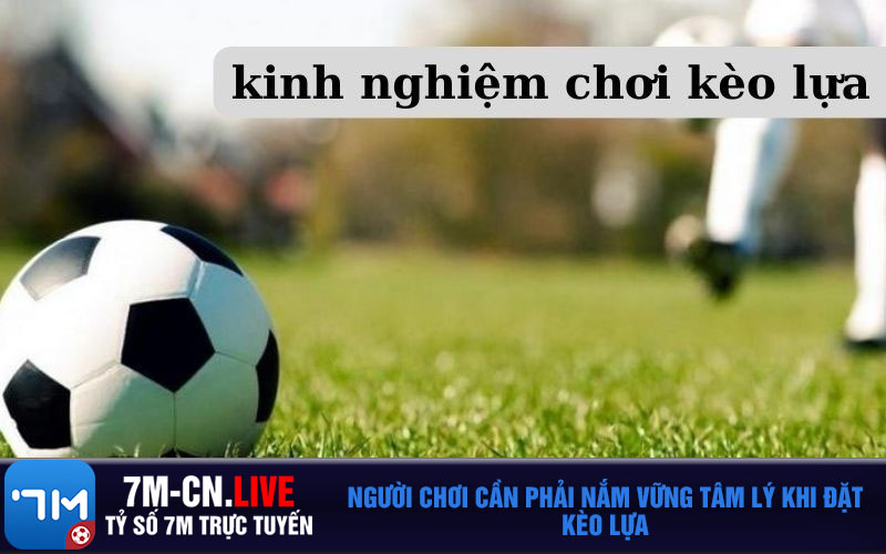 Nguoi choi can phai nam vung tam ly khi dat keo lua Người chơi cần phải nắm vững tâm lý khi đặt kèo lựa