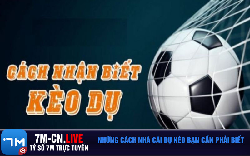 Nhung cach nha cai du keo ban can phai biet Những cách nhà cái dụ kèo bạn cần phải biết