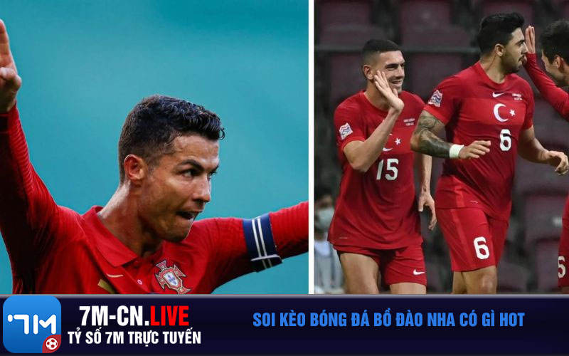 Soi keo bong da Bo Dao Nha co gi hot Soi kèo bóng đá Bồ Đào Nha có gì hot