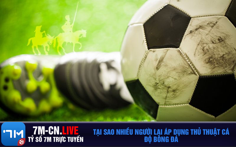 Tai sao nhieu nguoi lai ap dung thu thuat ca do bong da Tại sao nhiều người lại áp dụng thủ thuật cá độ bóng đá