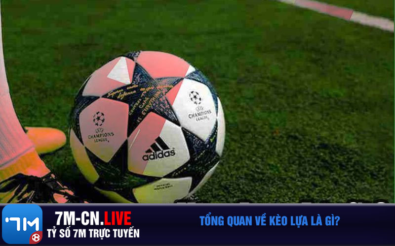 Tong quan ve keo lua la gi Tổng quan về kèo lựa là gì?