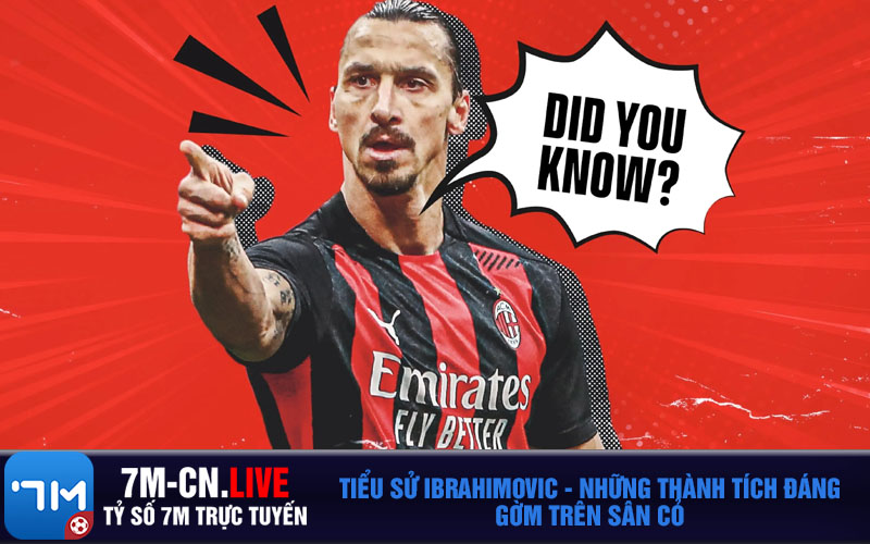Ibrahimovic1 Tiểu sử Ibrahimovic - Những thành tích đáng gờm trên sân cỏ