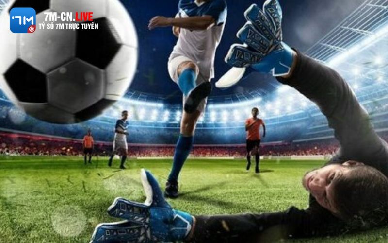 7mvn2 3 Những tiện ích nổi bật tại 7mvn2 bạn nên biết