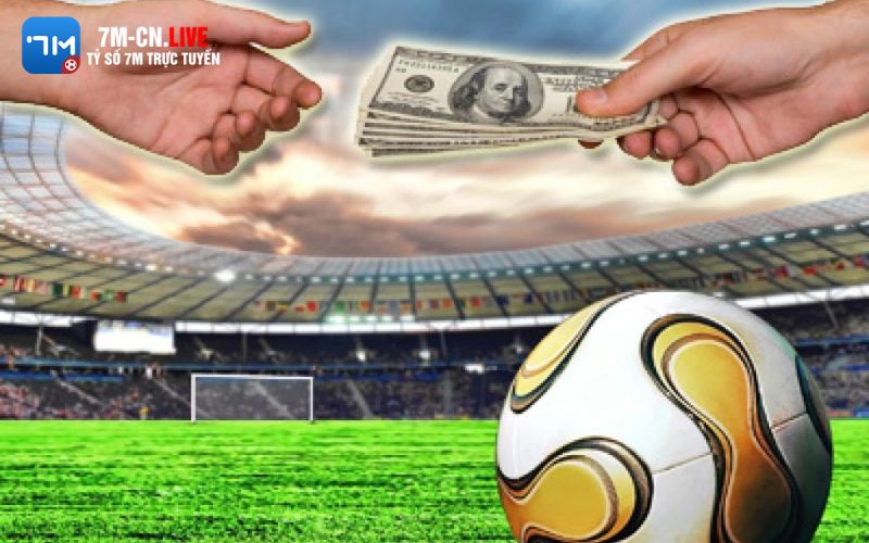ca cuoc bong da 2 Cách nhận ưu đãi từ trang cá cược bóng đá ở lần đầu