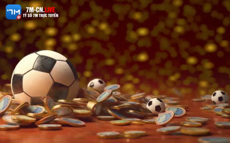 nha cai tang tien 3 1 Người chơi luôn cần bỏ túi thông tin lưu ý khi thực hiện lựa chọn nhà cái tặng tiền