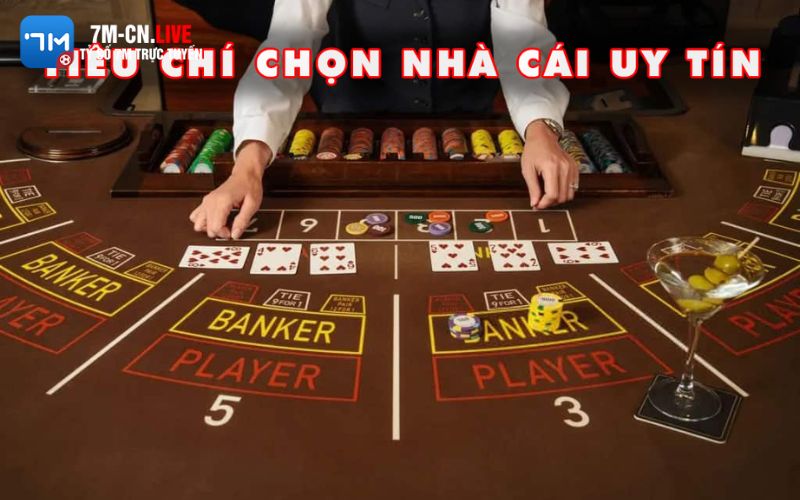 nha cai uy tin 2 4 Những bước để chọn một nhà cái uy tín nhất