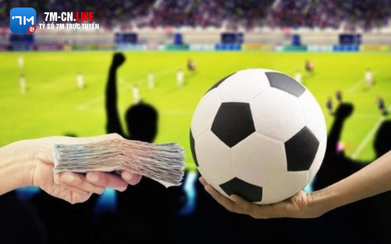 the thao 2 Cách cược kèo nhà cái trên các nền tảng cá cược trực tuyến