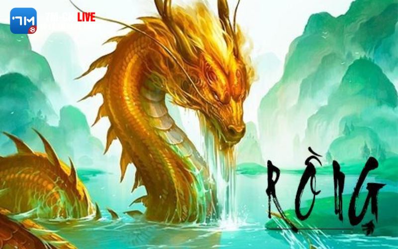 tuoi Rong danh con gi 2 Nguyên tắc chơi theo tuổi bạn nên biết