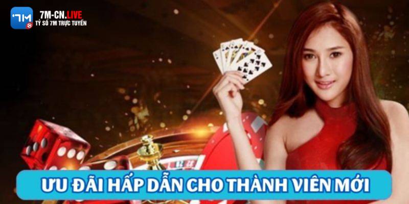 7m 1 1 Các điểm cần lưu ý khi mở tài khoản W88