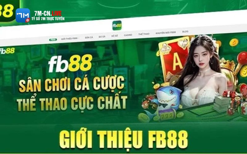 7m 3 1 Chiến lược đặt cược hiệu quả cùng FB88
