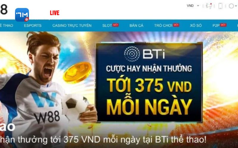 7m 5 2 Tại sao cần tìm link vào W88 mới nhất từ nguồn chính thống?