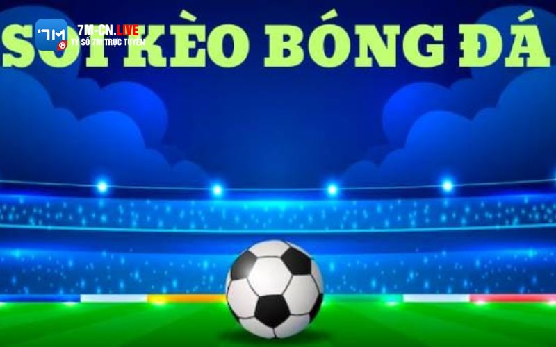 7mcnlive 2 3 Mẹo phân tích kèo cá độ bóng đá