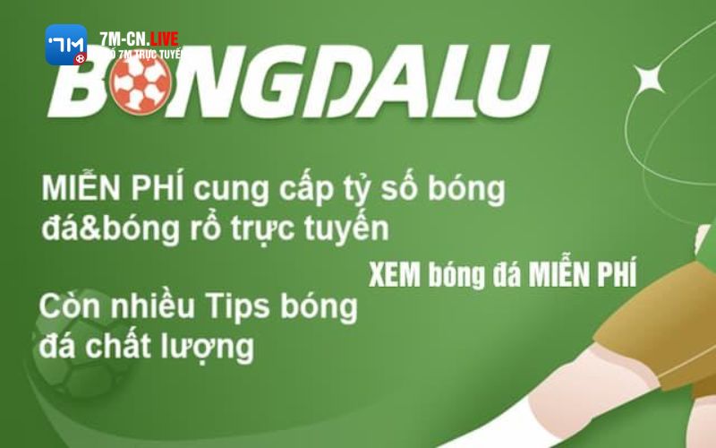 bongdalu Truy cập link xem tỷ số bongdalu cập nhật mới nhất mỗi ngày