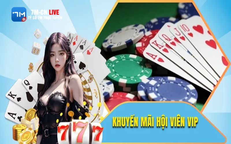 7m 3 Tích điểm đổi thưởng và VIP Club tại thể thao bet88
